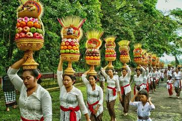 Bali Ubud Tours