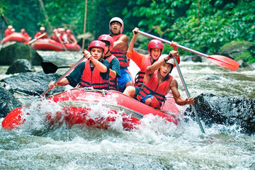 Bali White Water Rafting All Inclusive With Transportation and Lunch