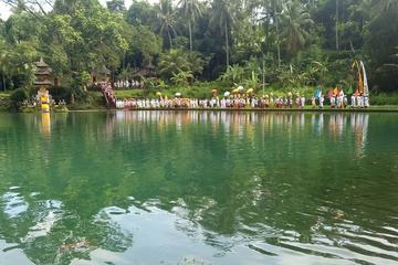 Nature's Beauty Tours