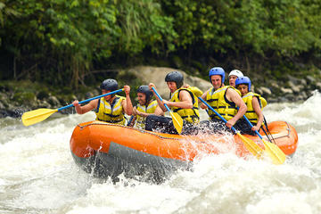 Shore Excursion : White Water Rafting and Visiting Luwak Coffee Garden