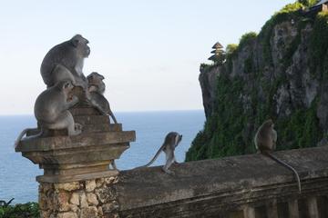 Uluwatu Temple Admission Ticket with Hotel Delivery