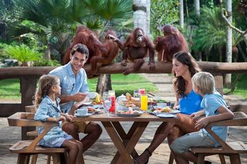 Breakfast with the Orangutans at Bali Zoo