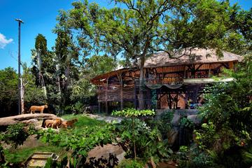 Half-Day Bali Zoo Explorer Tour Including Hotel Transfer and Lunch