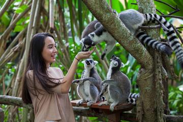 Zoo Admission with Revitalization Treatment Spa
