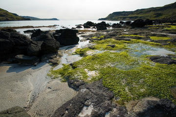 4 Day Magical Mull, Iona and the West Highlands Isles