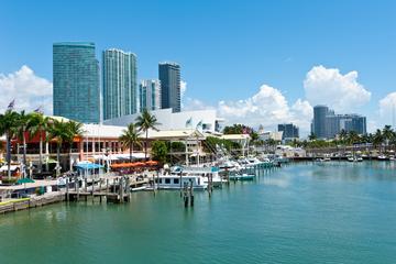 Miami City Tour plus Shopping and Optional Bay Cruise