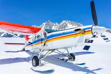 35-Minute Valley and Glacier Ski Plane Tour from Mount Cook