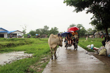 Private Yangon Half-Day Tour: Discovery of the Irrawaddy Delta