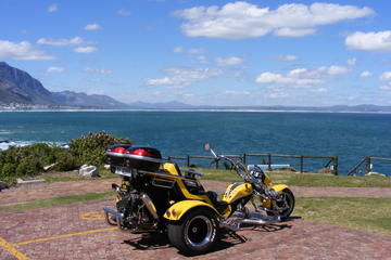 Hermanus and Whale Route Trike Tour from Cape Town