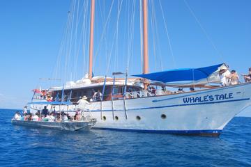 Fijian Islands and Snorkel Full-Day Whales Tale Cruise including Beach BBQ Lunch