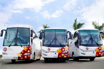 Nadi Arrival Shared Transfer:  Airport to Hotel