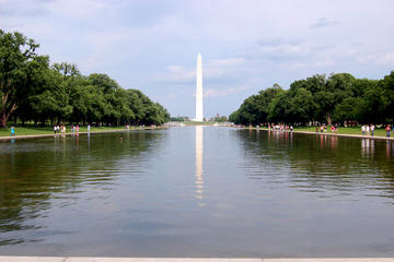 Private DC Sightseeing Tour for 6-14 Travelers