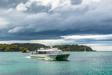 One-Way Ferry to Stewart Island from Bluff