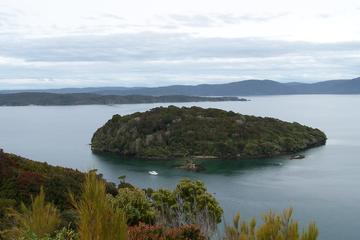 Ulva Island Explorer from Stewart Island