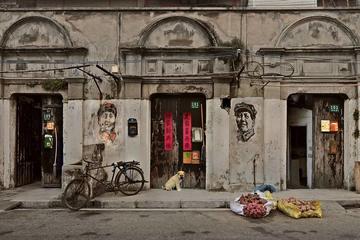 3-Hour Shanghai Old Town to French Concession Walking Tour