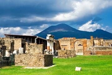 Private Round-Trip Transport to Pompeii, Mt Vesuvius, and Winery from Naples or Amalfi Coast