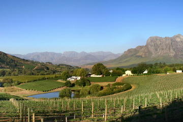 Winemaker-Led Private Wine Tasting Tours from Franschhoek