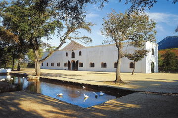 Winemaker-led Wine Tasting Tours