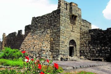 1-Day Desert Castle Private Tour from Dead Sea