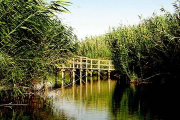 Azraq Wetland Private Half Day Tour from Amman