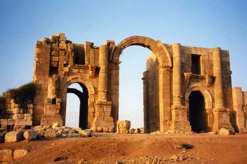 Jerash Ajlun and Amman Panoramic Full Day Tour from Amman