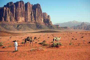 Jordan 9-Day Tour: Wadi Rum, Petra, Dead Sea, Jerash, Aqaba