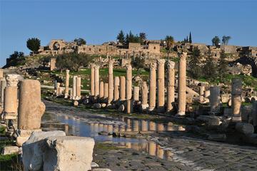 Private Day Tour to Umm Qais from Amman