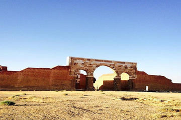 Private Full day Desert Castle and Dead Sea Tour from Amman