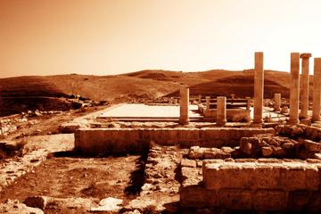 Private Full Day Tour Madaba Mount Nebo and Mukawir from Dead Sea