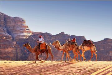 Private Full-Day Tour to Wadi Rum from Dead Sea