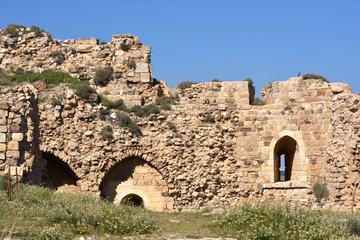 Private Half Day Kerak: Kings Highway Tour from Amman