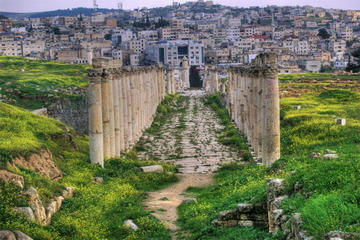 Private Jerash Half Day Tour from Dead Sea