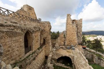 Private North Tour Jerash Ajloun and Um Qais from Amman