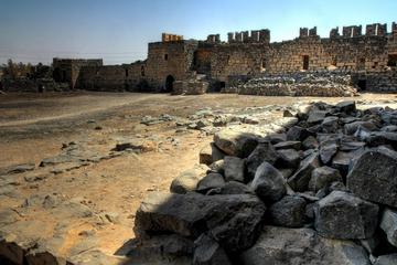 Private Tour: Full-Day Islamic Desert Castles and Ajloun Castle Trip from Amman
