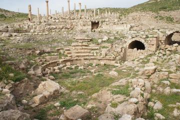 Private Tour: Full-Day Umm Qais, Pella, and Jerash Tour from Amman