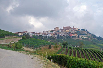 4-Days Wonderful Piedmont Tour from Milan