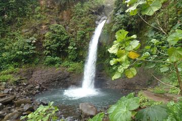 ARENAL HIGHLIGHTS