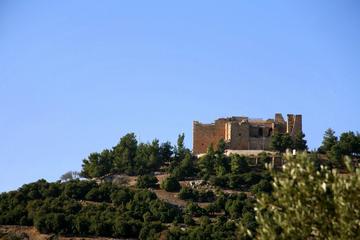 Amman Jerash and Ajloun Castle Private Day Trip