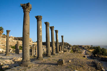Private Full-Day Tour: Umm Qais, Jerash, and Ajloun from Amman