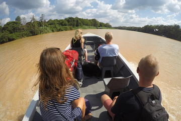 3D2N Kinabatangan River Cruise