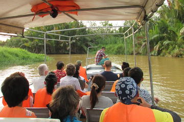 Weston Fireflies River Cruise from Kota Kinabalu City