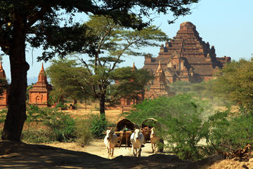 Cycling Tour of Bagan Full Day Tour
