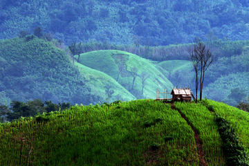 Full-Day Pyin Oo Lwin Private Tour from Mandalay