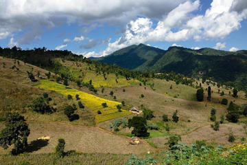 Myanmar Vineyard Tour with lunch