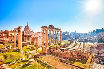 Chauffeured Private Tour of Rome 6 hours