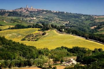 Siena and San Gimignano Day Trip from Rome
