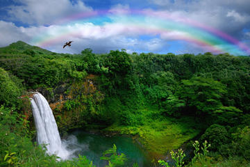 Kona Shore Excursion: Rainforest Waterfalls and Parker Ranch