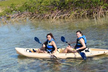 Bonefish Pond National Park Kayaking Tour and Fritter Making Lesson
