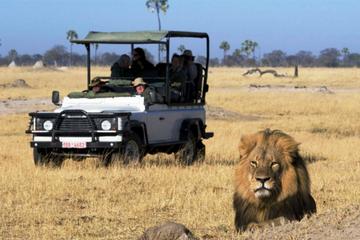 2-Day Camping Safari in Chobe National Park from Victoria Falls