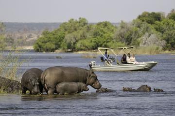 Chobe Extended Day Trip from Victoria Falls